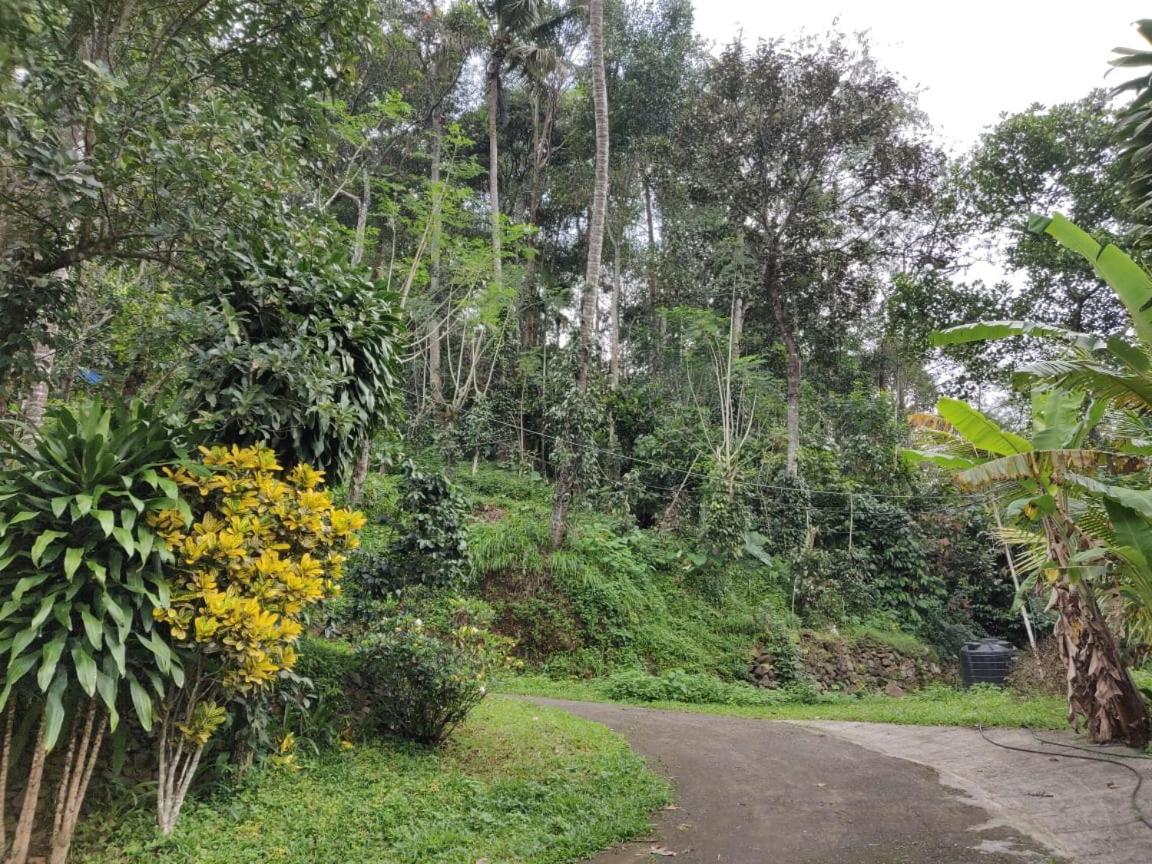 M3 Homes Munnar Exterior foto